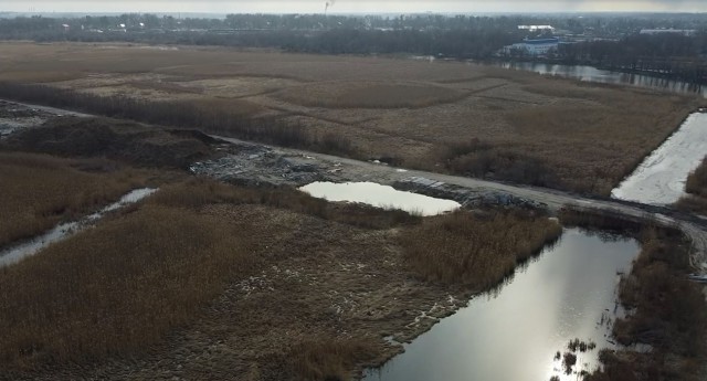 «Перенесли на болото»: для «Балтийской долины» выделили новый участок на острове Октябрьском