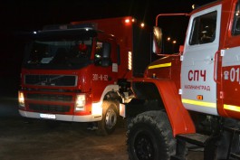 Калининградские пожарные на учениях потушили лес в Варминско-Мазурском воеводстве