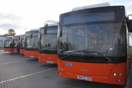 «ЛиАЗ» потребовал признать незаконной закупку белорусских автобусов для Калининграда