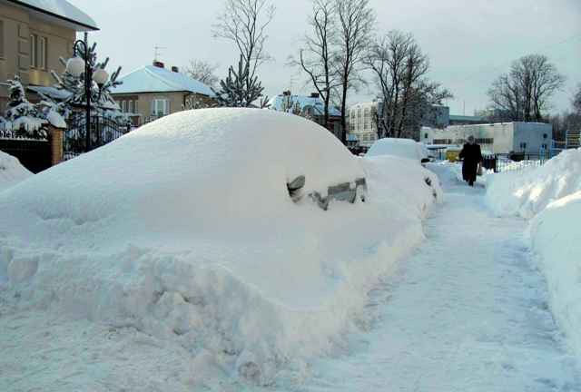 Гидрометцентр прогнозирует сильный снег в Калининградской области 