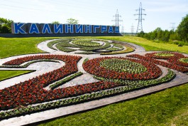 «Мяч из цветов»: в Калининграде высадили клумбу к ЧМ-2018 (фото)