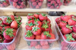 «Горячая ягода»: как изменилась цена на калининградскую клубнику из-за засухи