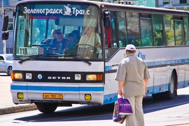 На время проведения кинофестиваля изменят расписание автобусов Светлогорск — Калининград