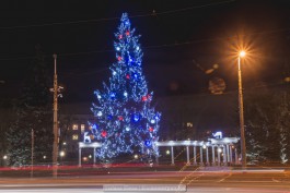 «Олени, снеговик и настоящая ёлка»: Калининград украсили к Новому году (фото)
