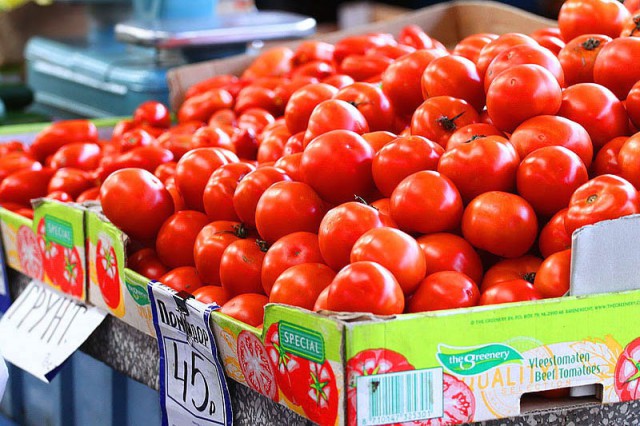 В Калининградской области уничтожили 325 кг санкционных томатов из Польши