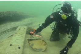 Археологи обнаружили на дне Балтийского моря древнее поселение (видео)