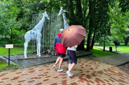 В первые летние выходные в Калининградской области ожидается потепление до +25&deg;С и дожди