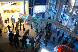 «Погружение на глубину»: в Музее Мирового океана открылся новый корпус (фото, видео) (фото, видео)