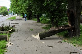 В Калининграде ожидается ливень, гроза и усиление ветра