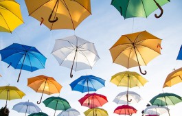 В Центральном парке Калининграда появится аллея парящих зонтиков