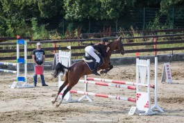 «Конь в прыжке»: в Янтарном провели турнир по конкуру (фото)