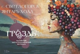 Фестиваль «Гроздь» впервые пройдёт в Светлогорске
