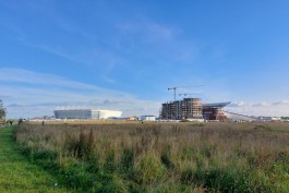 «Гектары без торгов»: незастроенную часть Острова в Калининграде отдают под жильё ГК «Кортрос»