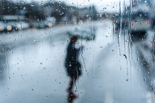 «Мокрый снег и усиление ветра»: синоптики рассказали о калининградской погоде в середине ноября