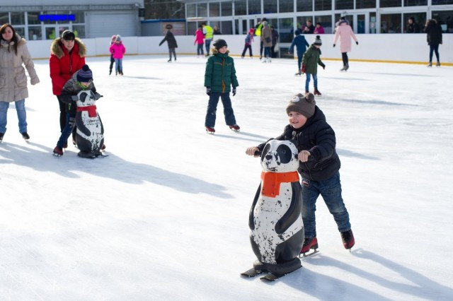 Ледовый каток в Центральном парке Калининграда откроют 1 декабря