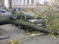 В Калининграде объявлено штормовое предупреждение