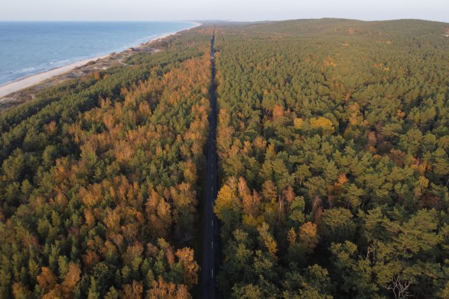 Литовский нацпарк на Куршской косе прекращает сотрудничество с российским