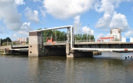 Работе водолазов под Высоким мостом в Калининграде мешает гигантский сом