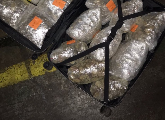 Таможенники нашли 165 кг контрабандного янтаря на пароме Балтийск — Усть-Луга