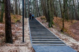 Синоптики прогнозируют до +4°C на рабочей неделе в Калининградской области 