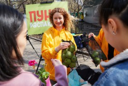 В Калининграде волонтёры Greenpeace предложат покупателям обменять пластиковые пакеты на экомешки