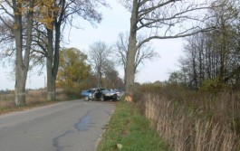 Под Черняховском «Форд» врезался в дерево: погиб 22-летний водитель