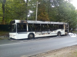 В Светлогорске полностью сгорел пассажирский автобус (фото)