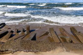 Росприроднадзор подаёт в суд из-за загрязнения Балтийского моря в районе Заостровья