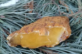 Жительница Калининградской области нашла крупный янтарь на берегу Балтийского моря (фото)