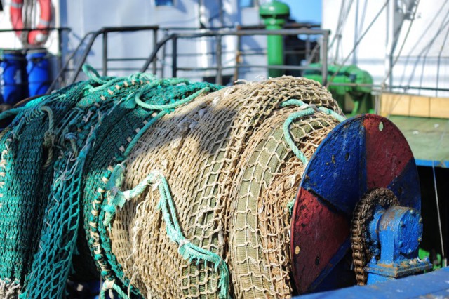 Жителю Калининграда грозит до 500 тысяч рублей штрафа за ловлю рыбы сетями