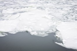 Девять литовских рыбаков провалились под лёд на Куршском заливе