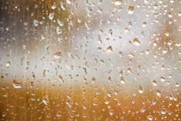 Гидрометцентр обещает грозу и сильный дождь в Калининградской области