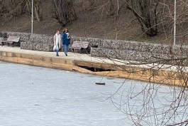 На Нижнем озере в Калининграде разрушается новое деревянное покрытие на пристани (фото)