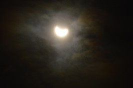 «Солнце как луна»: затмение глазами пользователей калининградского Instagram