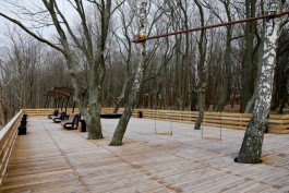 Метеорологи рассказали о «высокой вероятности похолодания» во второй декаде ноября в Калининградской области