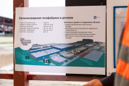 Власти Советска готовят площадки для производств, которые будут обслуживать новую гигафабрику