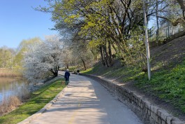 «Выше +22°С»: в начале мая в Калининградской области ожидается резкое потепление