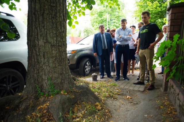 «Тротуарные войны»: как мэр Калининграда спорил с горожанами о вырубке деревьев