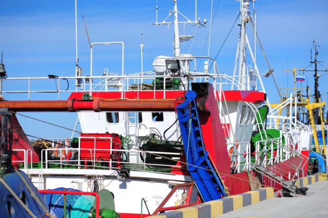 Калининградские рыбаки отправили 15 судов на промысел кильки и салаки в Балтийское море