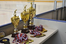 «Свисток на перерыв»: фоторепортаж Калининград.Ru с закрытия хоккейного сезона (фото)