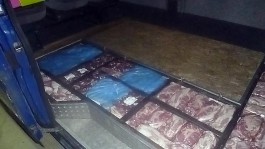 Безработный калининградец оборудовал тайник в машине для контрабанды мяса из Польши