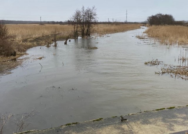 Рядом с Кострово 27-летний мужчина упал в реку и утонул