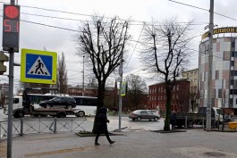 «Своеобразная зима»: в Калининградской области увеличилось число ДТП с пешеходами