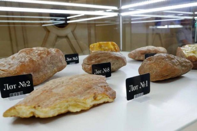 Калининградский янтарный комбинат выставит на аукцион более 50 редких камней