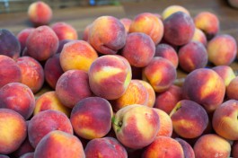 В Россельхознадзоре рассказали, откуда везут персики и черешню в Калининградскую область
