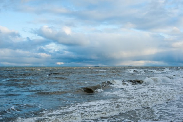 Спасатели ищут тело мужчины, утонувшего в Балтийском море