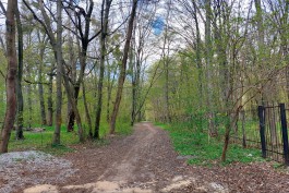 В Калининграде проводят экологическое обследование зелёной зоны вдоль Литовского ручья