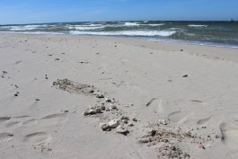На пляже под Зеленоградском обнаружили вещество, похожее на парафин