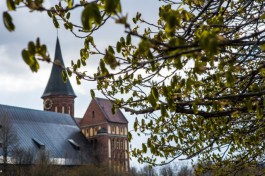 Метеорологи: С конца марта в Калининграде выпало лишь пять миллиметров осадков