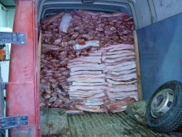 Калининградец пытался ввезти из Польши 3,5 тонны свинины